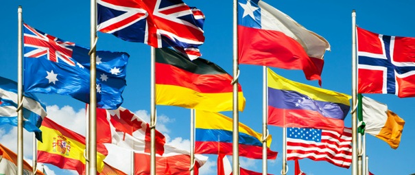 foreign currency flags for website
