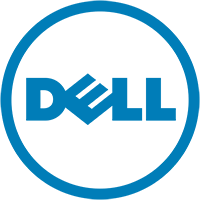 Dell Inc